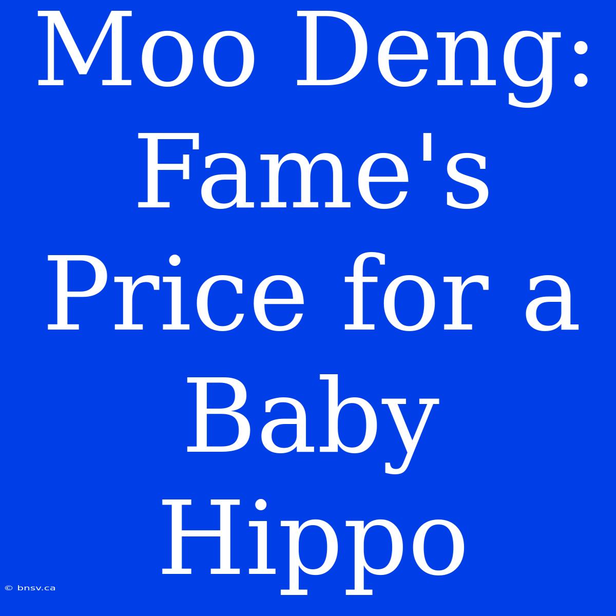 Moo Deng:  Fame's Price For A Baby Hippo