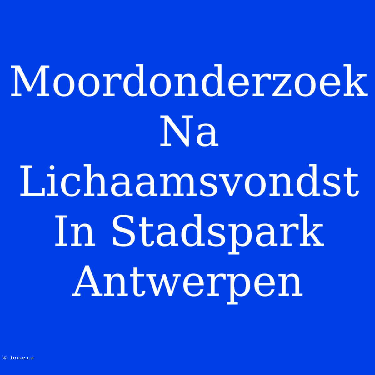 Moordonderzoek Na Lichaamsvondst In Stadspark Antwerpen