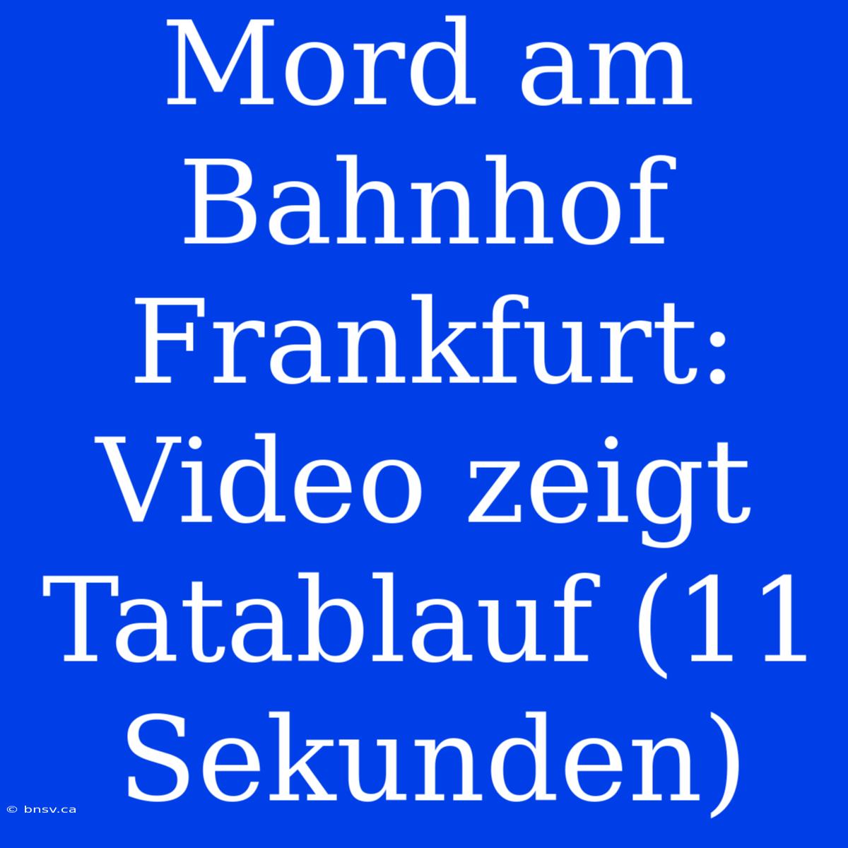 Mord Am Bahnhof Frankfurt: Video Zeigt Tatablauf (11 Sekunden)