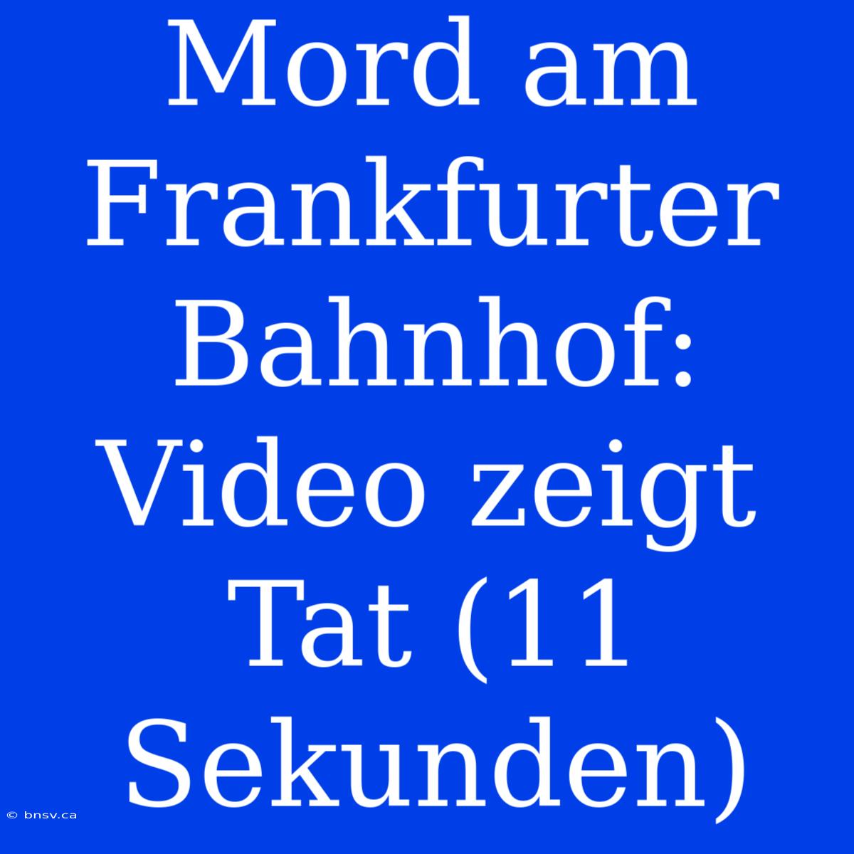 Mord Am Frankfurter Bahnhof: Video Zeigt Tat (11 Sekunden)