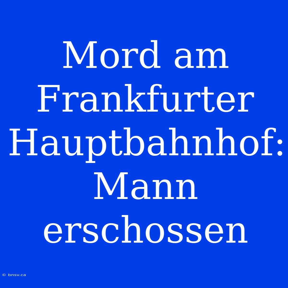 Mord Am Frankfurter Hauptbahnhof: Mann Erschossen