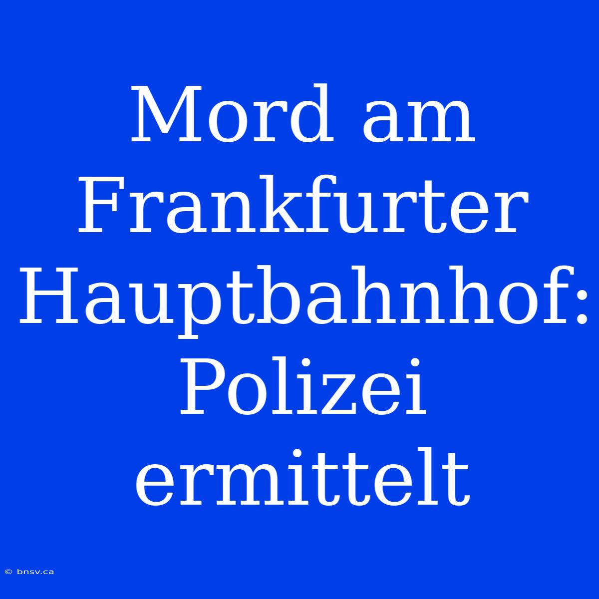 Mord Am Frankfurter Hauptbahnhof: Polizei Ermittelt