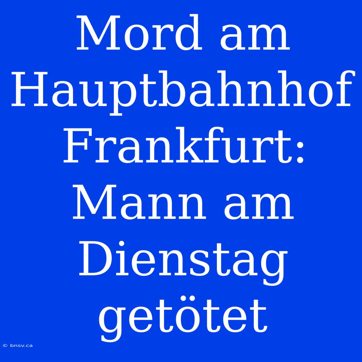 Mord Am Hauptbahnhof Frankfurt: Mann Am Dienstag Getötet