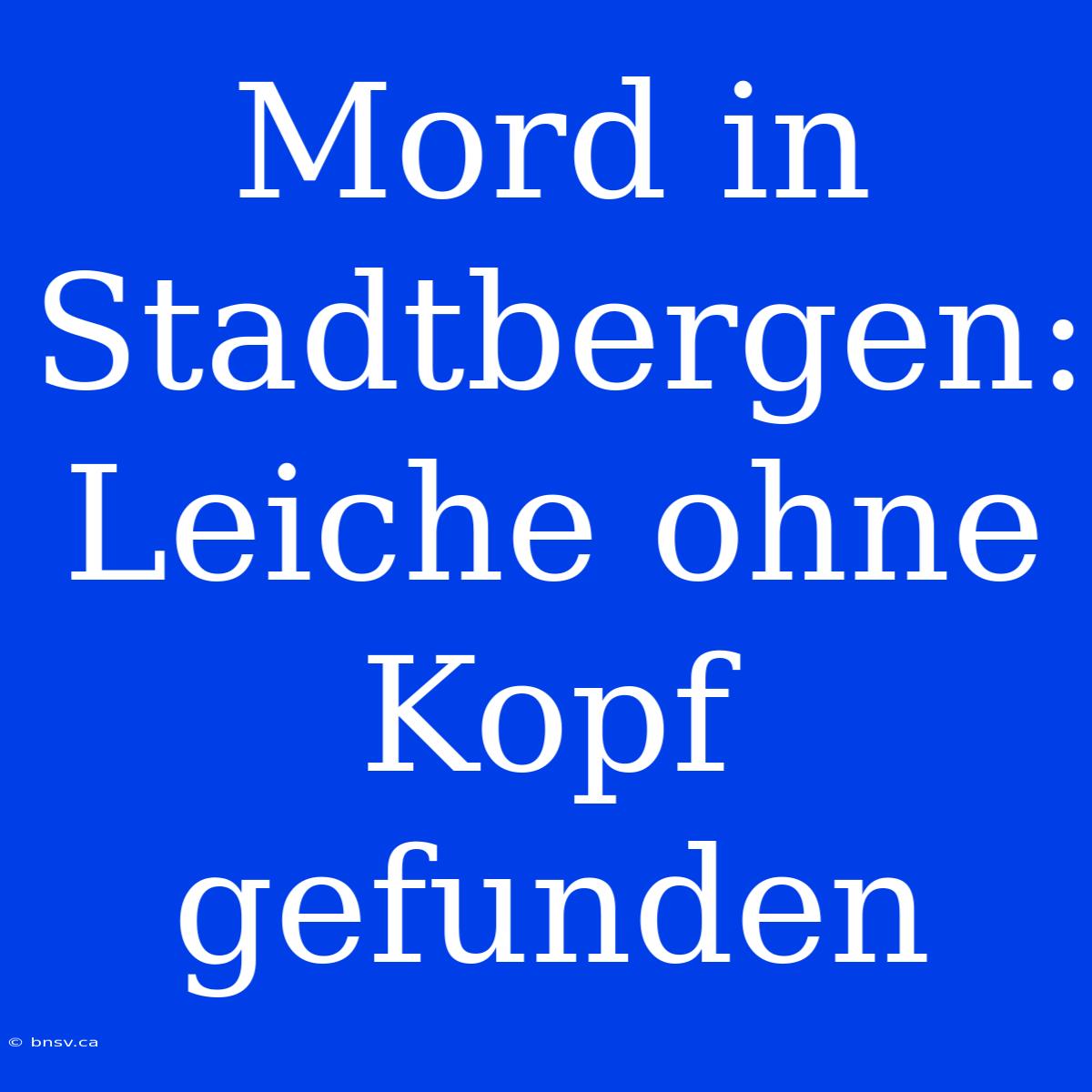 Mord In Stadtbergen: Leiche Ohne Kopf Gefunden