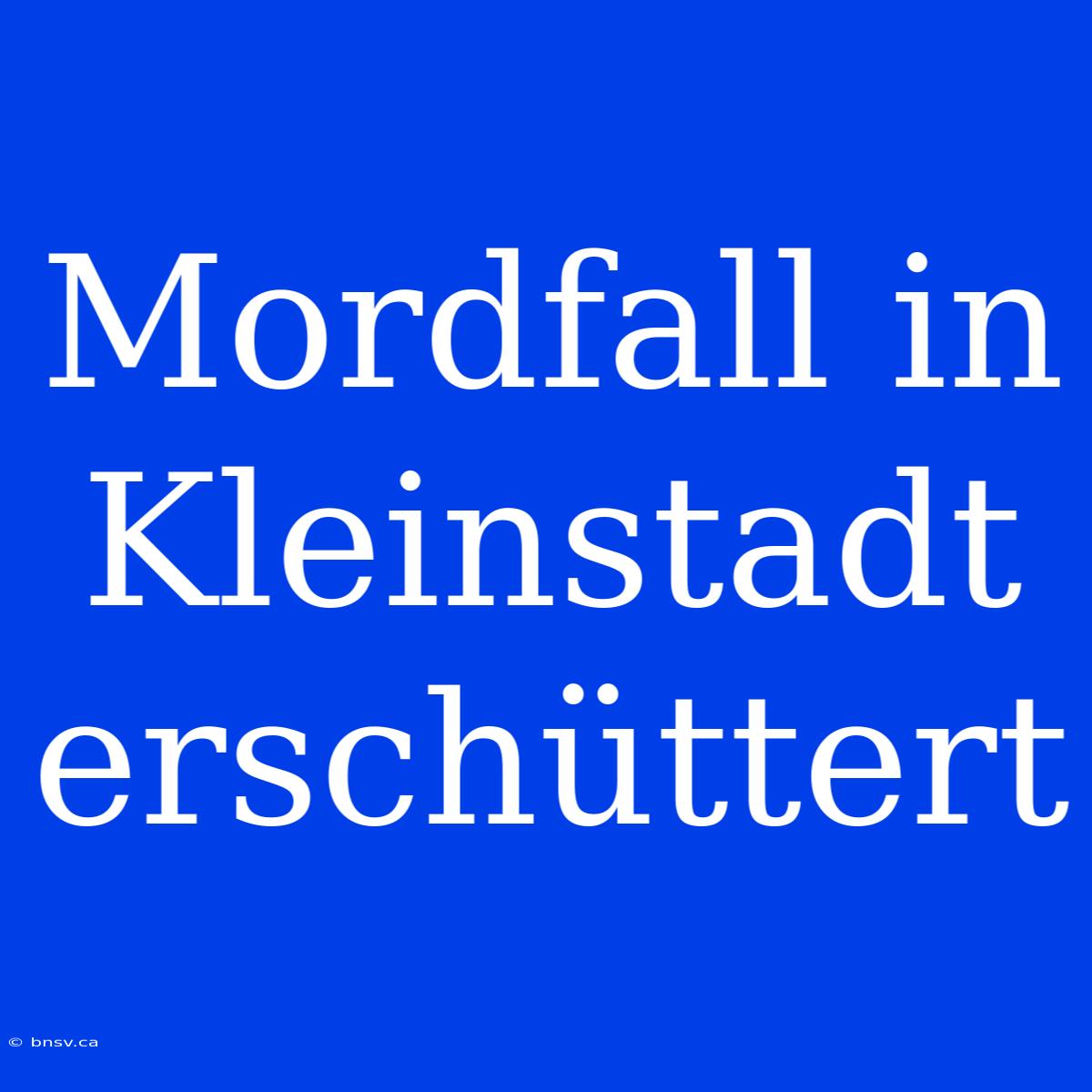 Mordfall In Kleinstadt Erschüttert