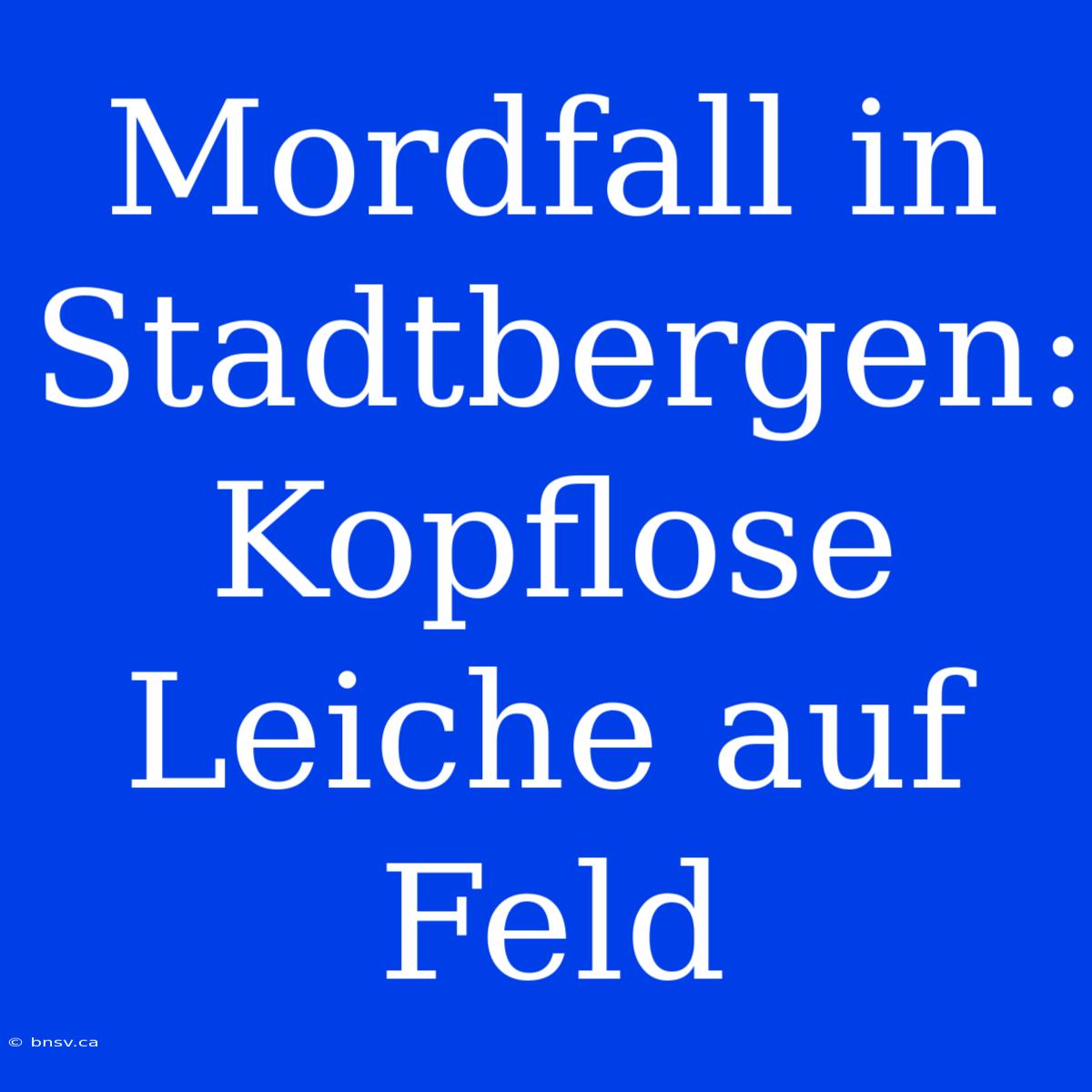 Mordfall In Stadtbergen: Kopflose Leiche Auf Feld