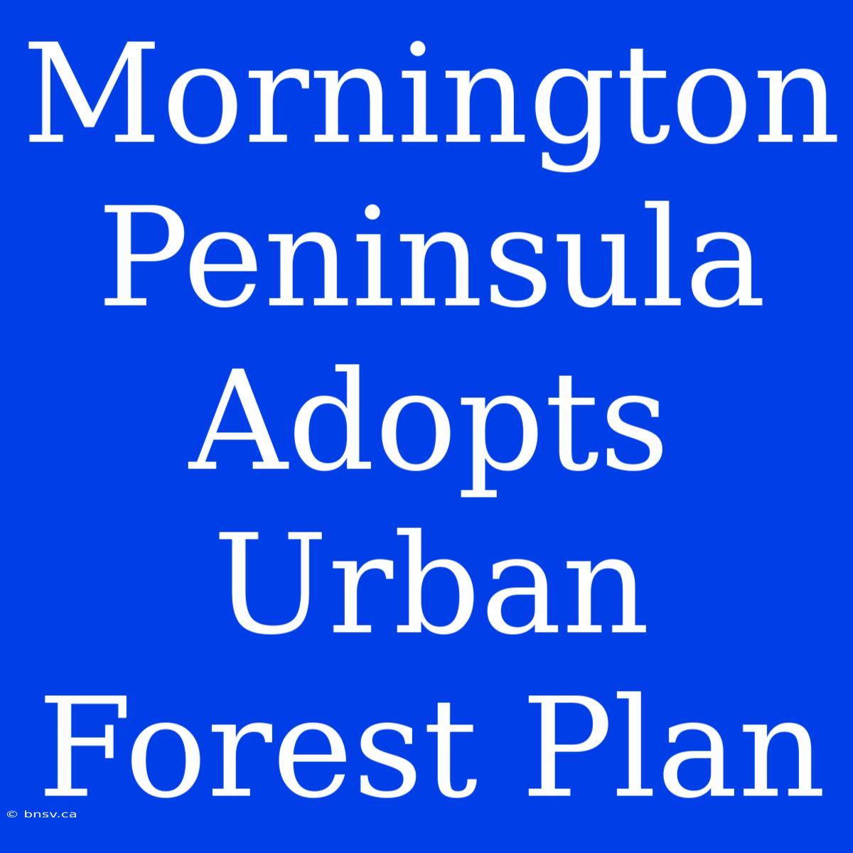 Mornington Peninsula Adopts Urban Forest Plan