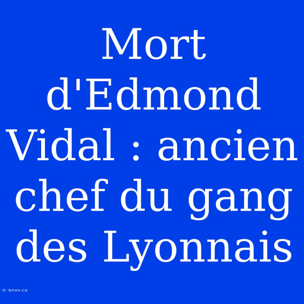 Mort D'Edmond Vidal : Ancien Chef Du Gang Des Lyonnais