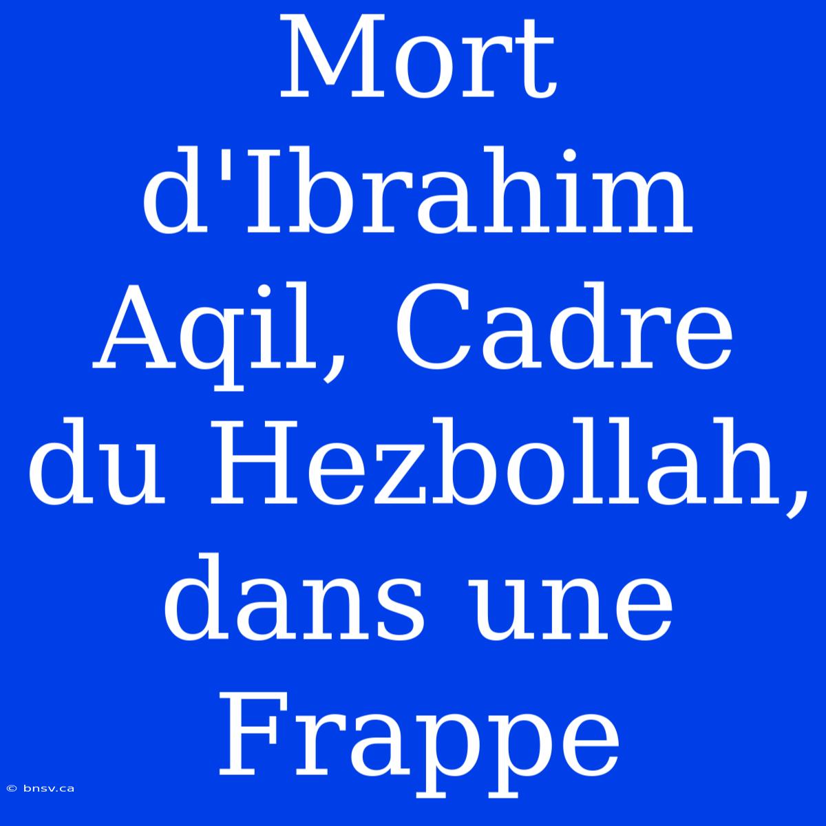 Mort D'Ibrahim Aqil, Cadre Du Hezbollah, Dans Une Frappe