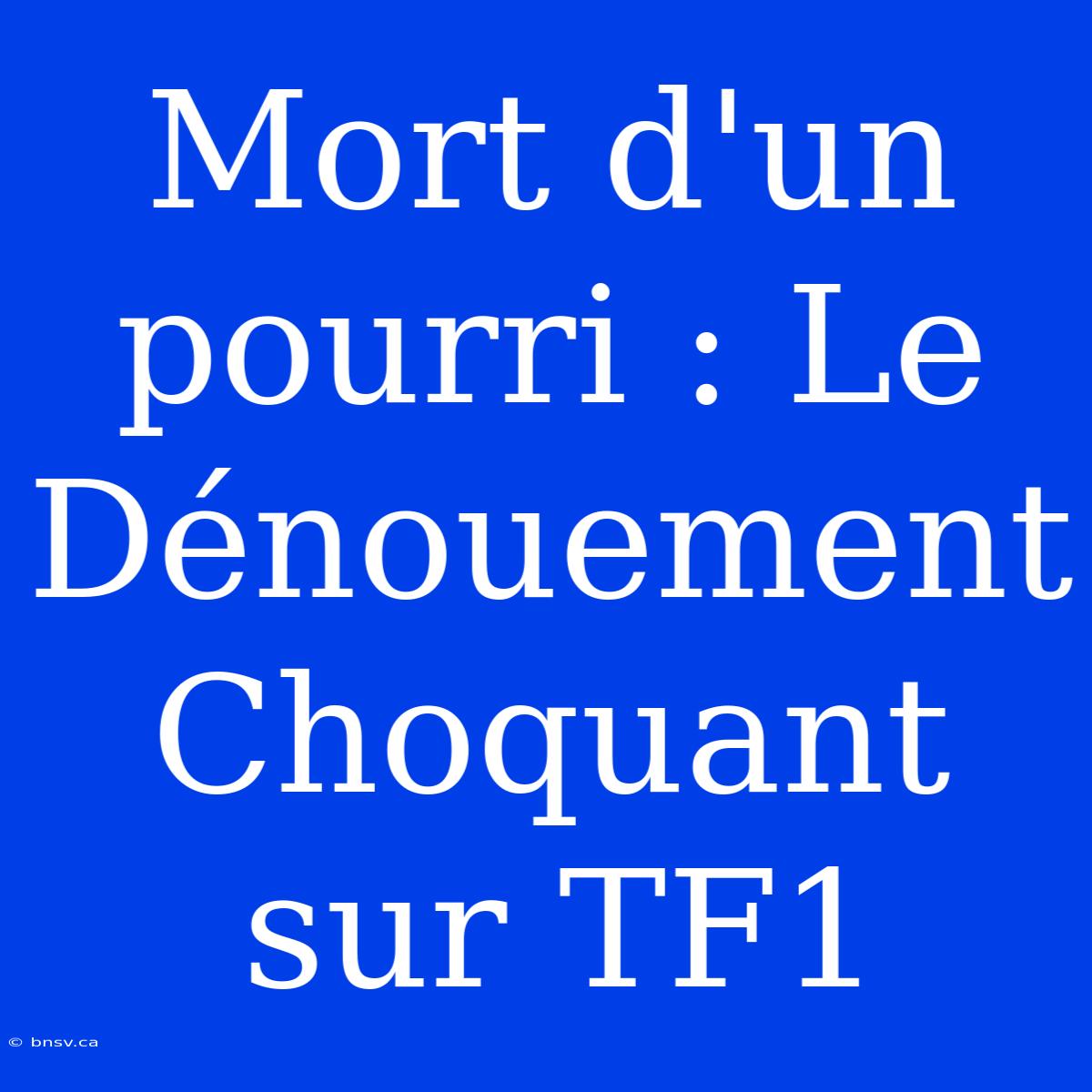 Mort D'un Pourri : Le Dénouement Choquant Sur TF1