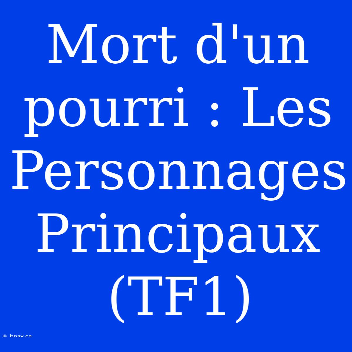 Mort D'un Pourri : Les Personnages Principaux (TF1)