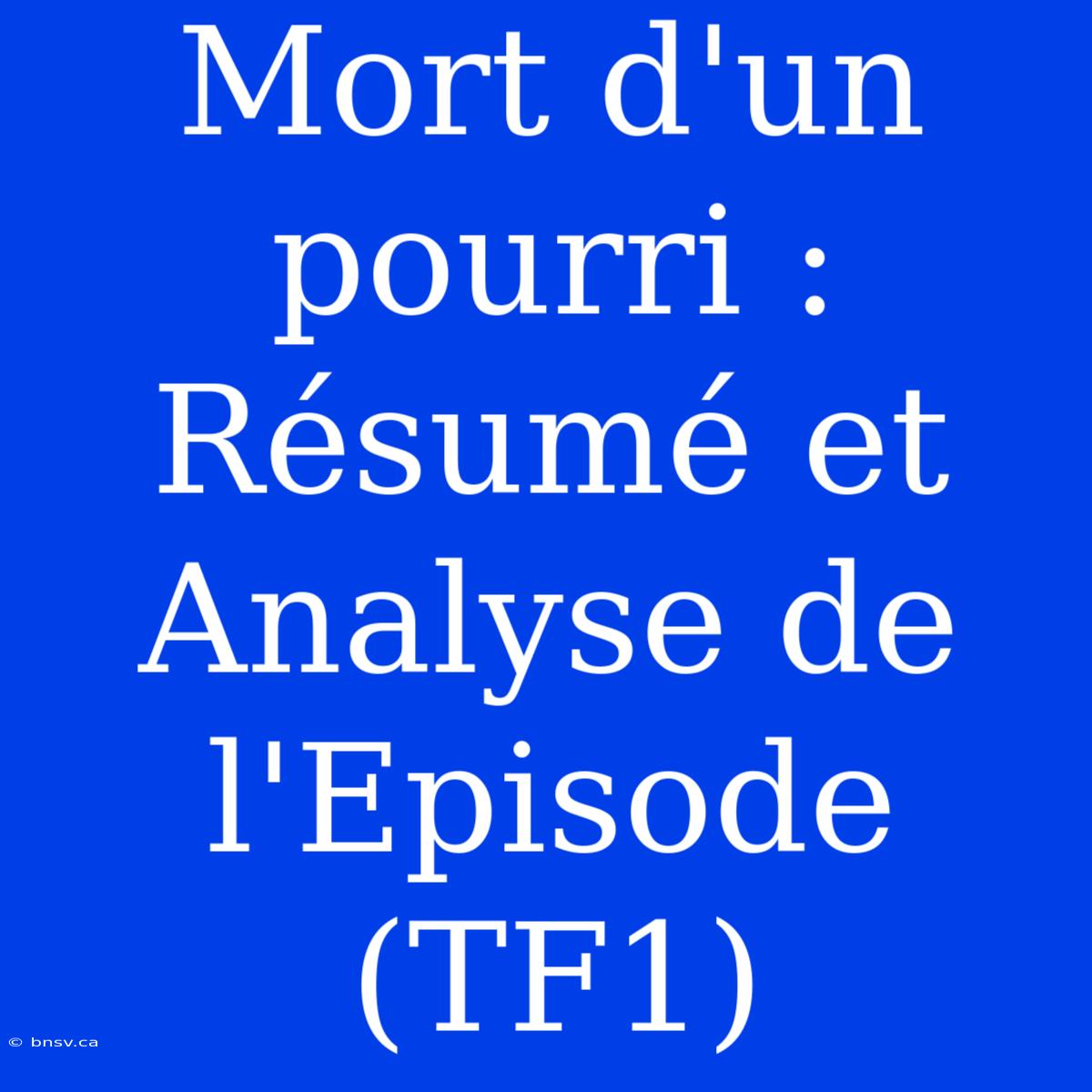 Mort D'un Pourri : Résumé Et Analyse De L'Episode (TF1)