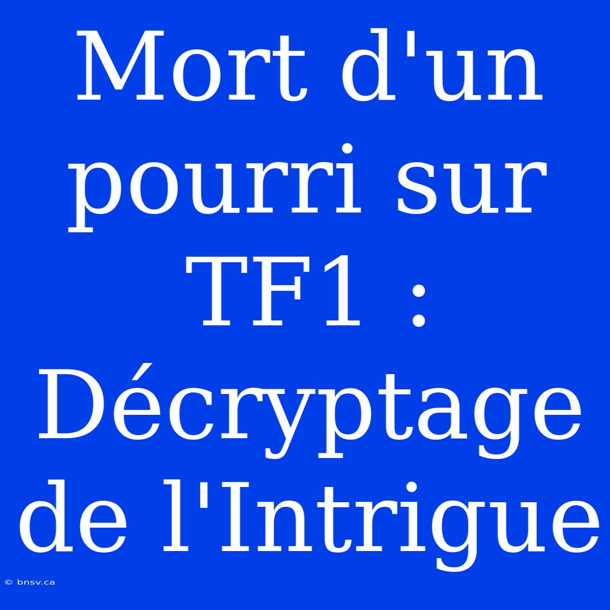 Mort D'un Pourri Sur TF1 : Décryptage De L'Intrigue