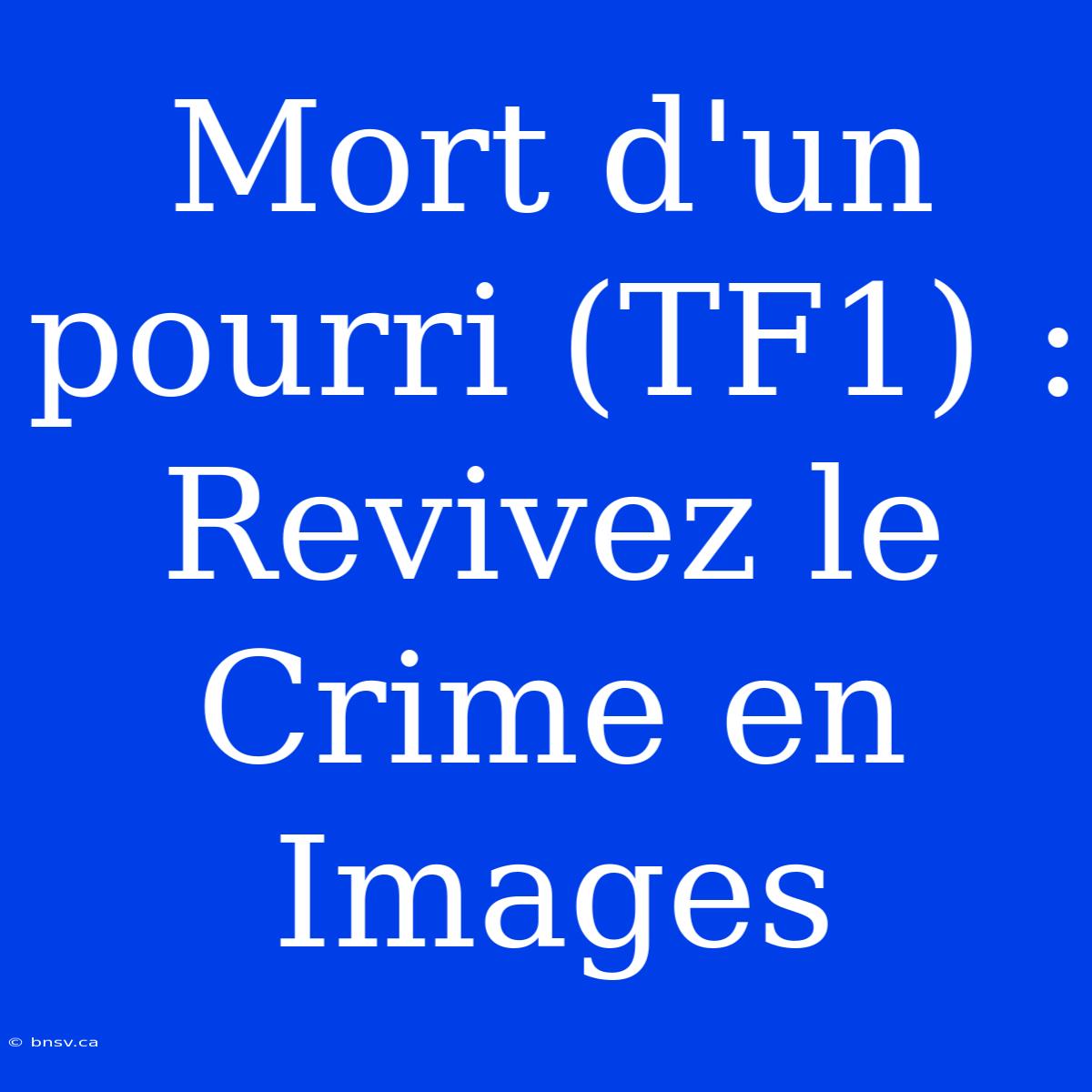 Mort D'un Pourri (TF1) : Revivez Le Crime En Images