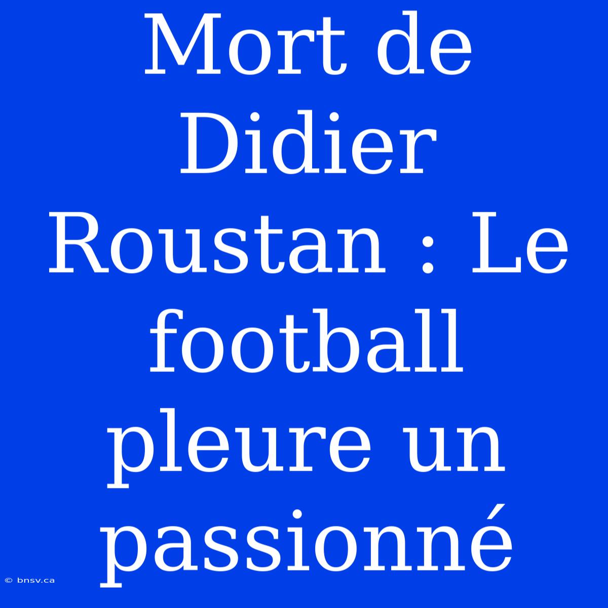 Mort De Didier Roustan : Le Football Pleure Un Passionné