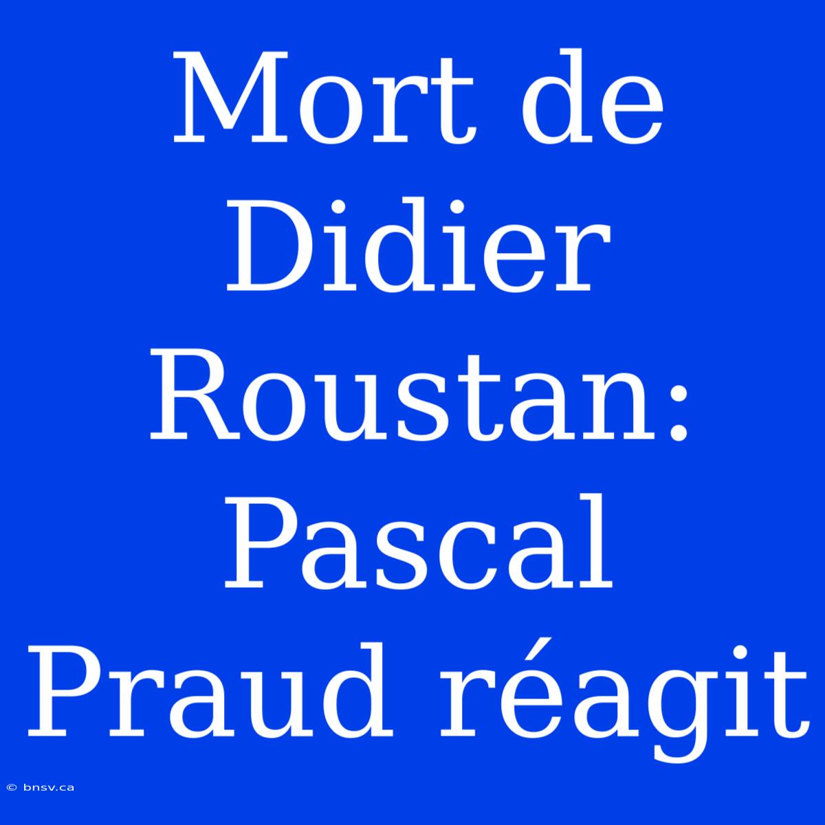 Mort De Didier Roustan: Pascal Praud Réagit