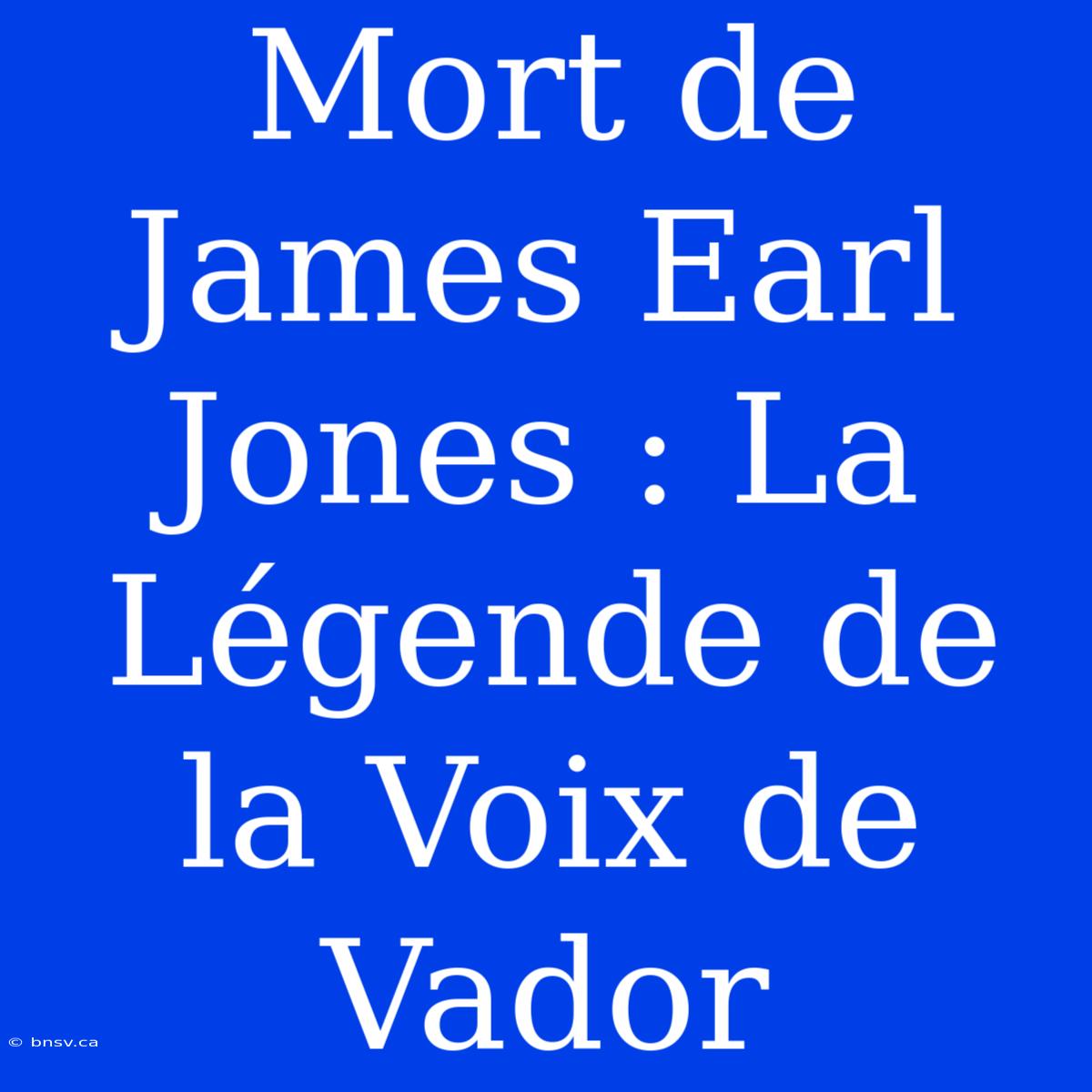 Mort De James Earl Jones : La Légende De La Voix De Vador