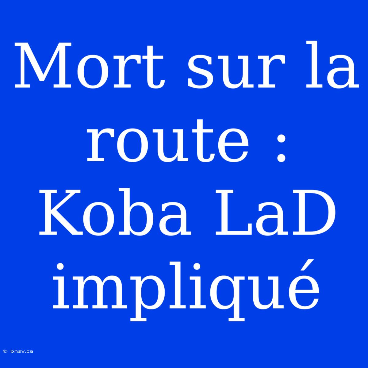 Mort Sur La Route : Koba LaD Impliqué