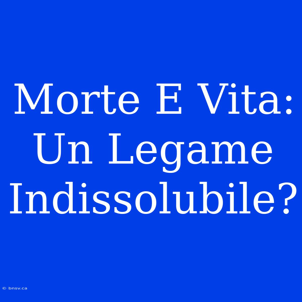 Morte E Vita: Un Legame Indissolubile?