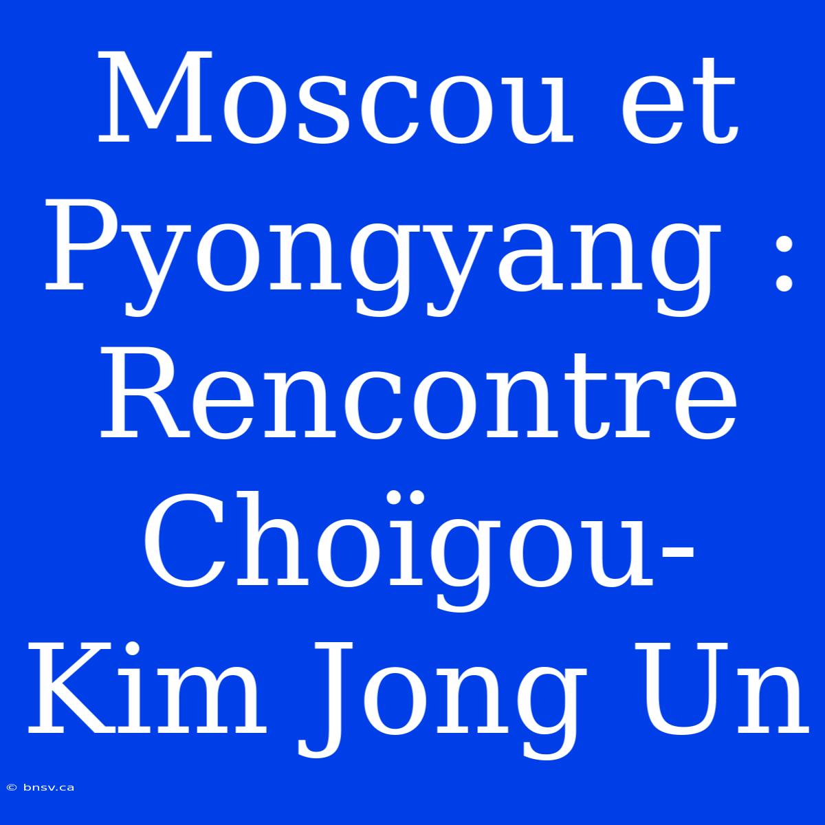 Moscou Et Pyongyang : Rencontre Choïgou-Kim Jong Un