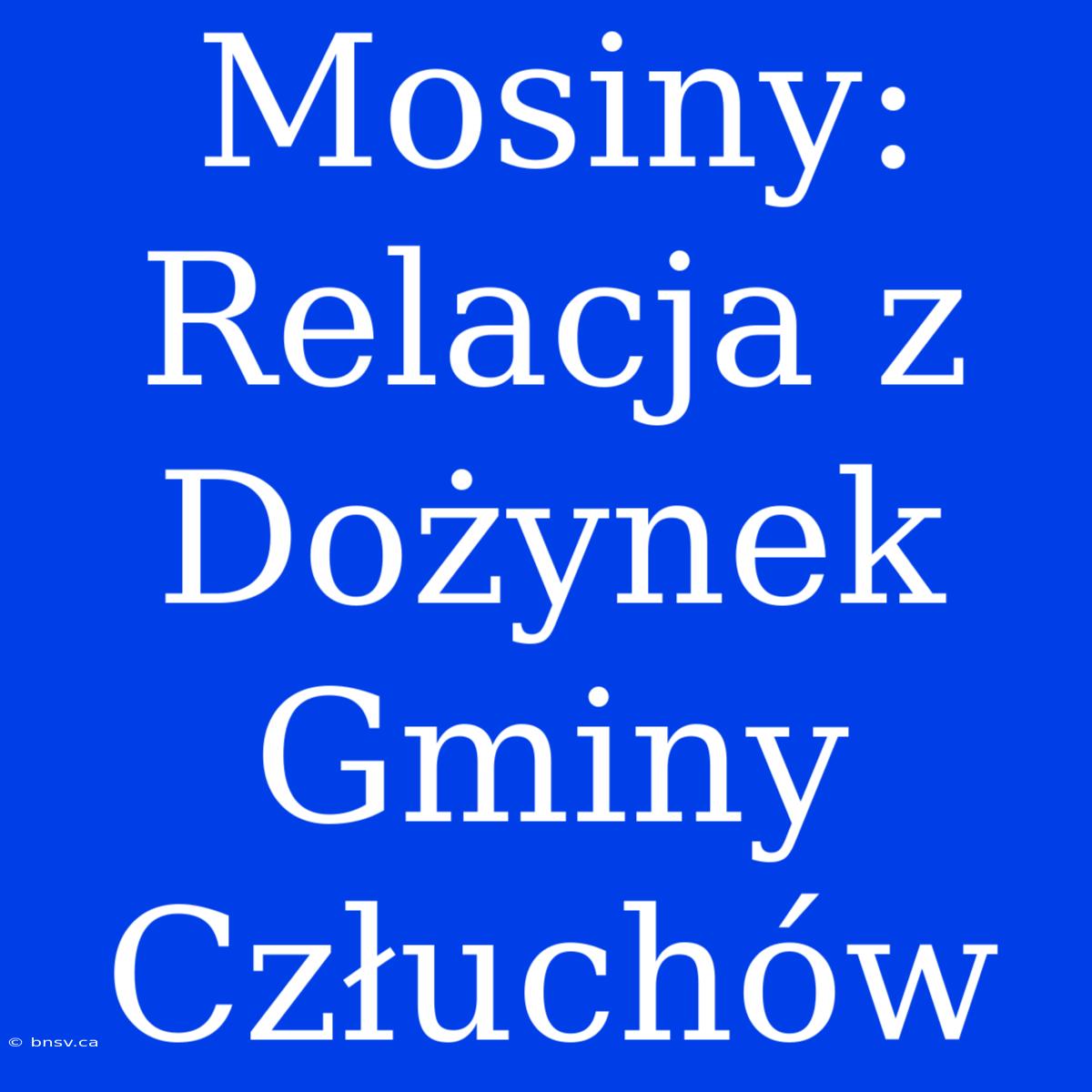 Mosiny: Relacja Z Dożynek Gminy Człuchów