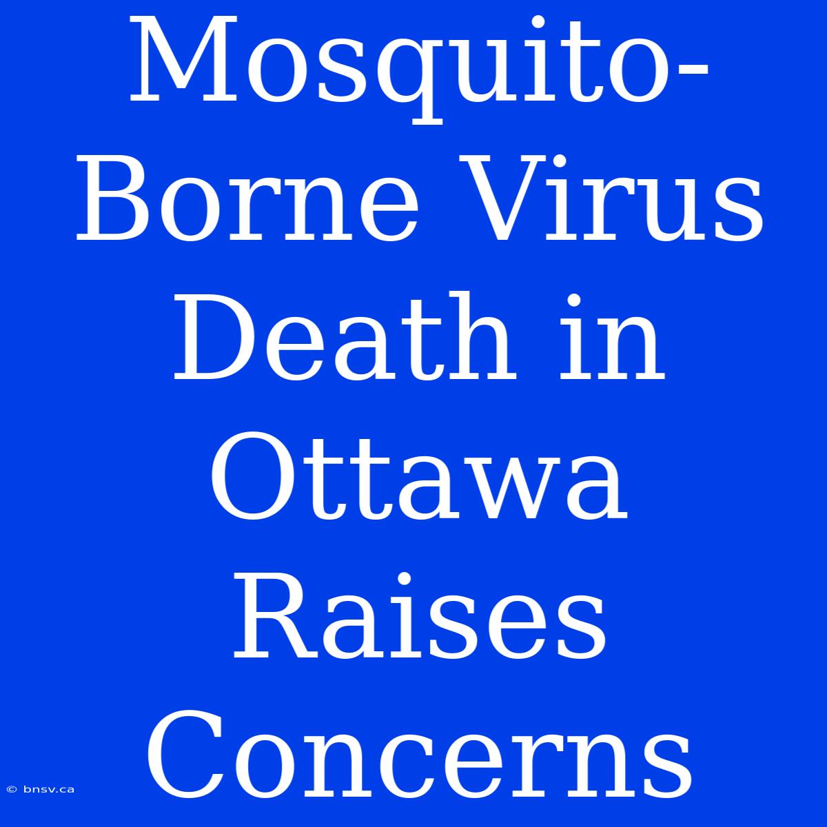 Mosquito-Borne Virus Death In Ottawa Raises Concerns