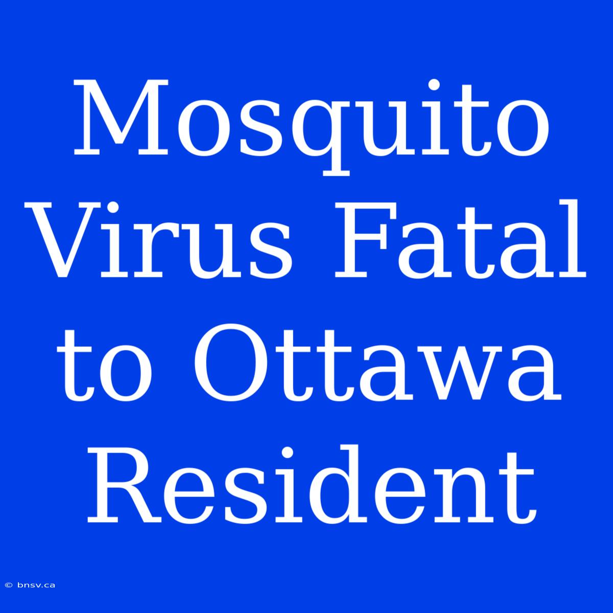 Mosquito Virus Fatal To Ottawa Resident