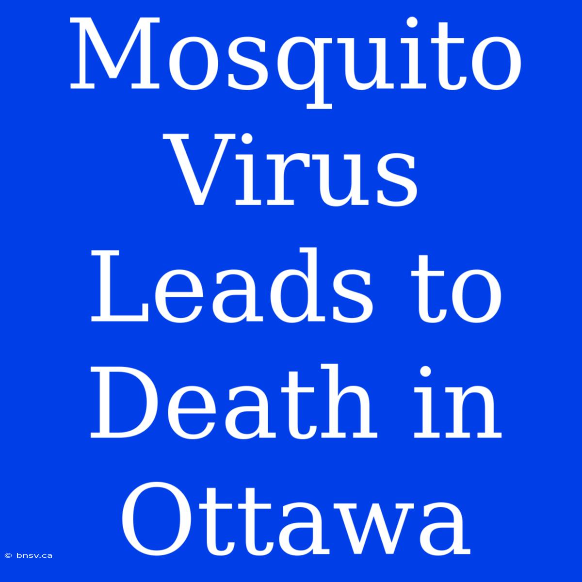 Mosquito Virus Leads To Death In Ottawa