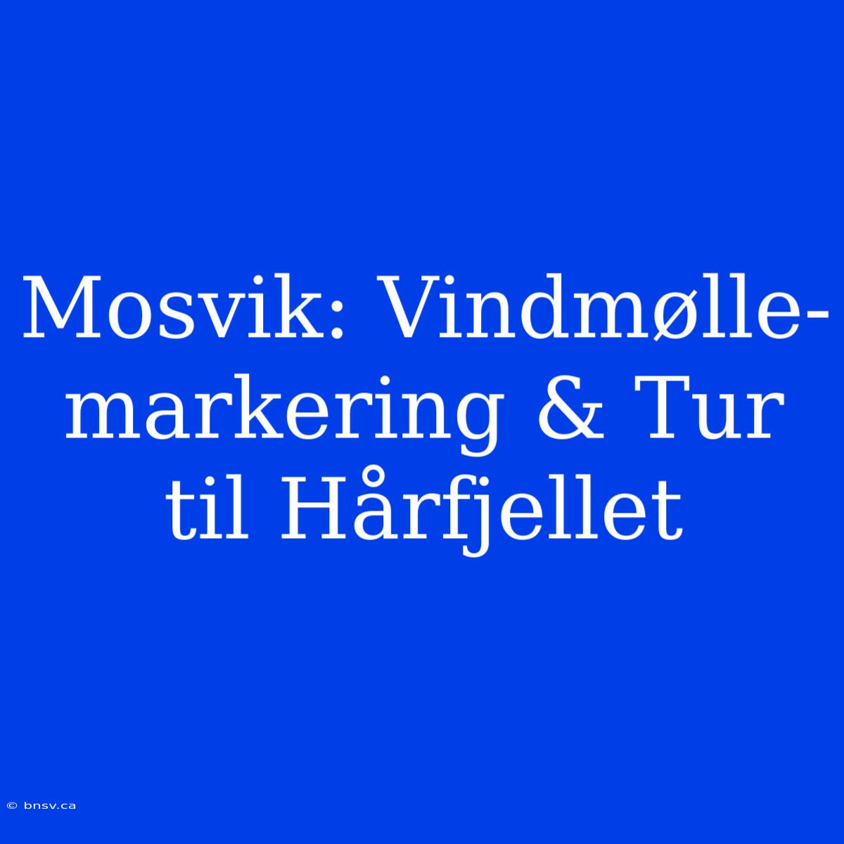 Mosvik: Vindmølle-markering & Tur Til Hårfjellet