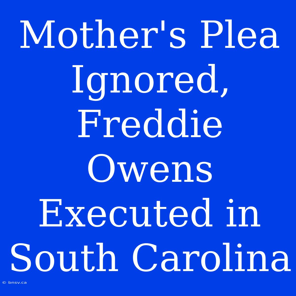 Mother's Plea Ignored, Freddie Owens Executed In South Carolina