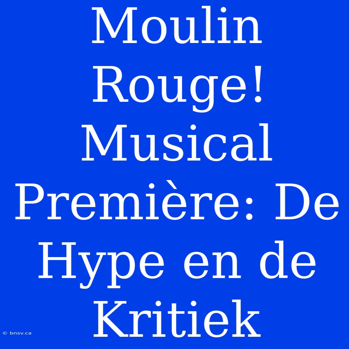 Moulin Rouge! Musical Première: De Hype En De Kritiek