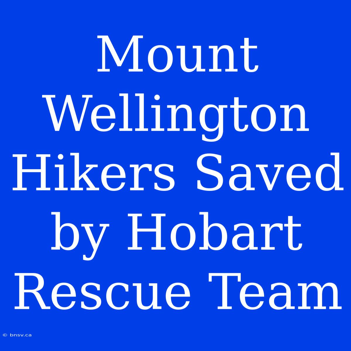 Mount Wellington Hikers Saved By Hobart Rescue Team