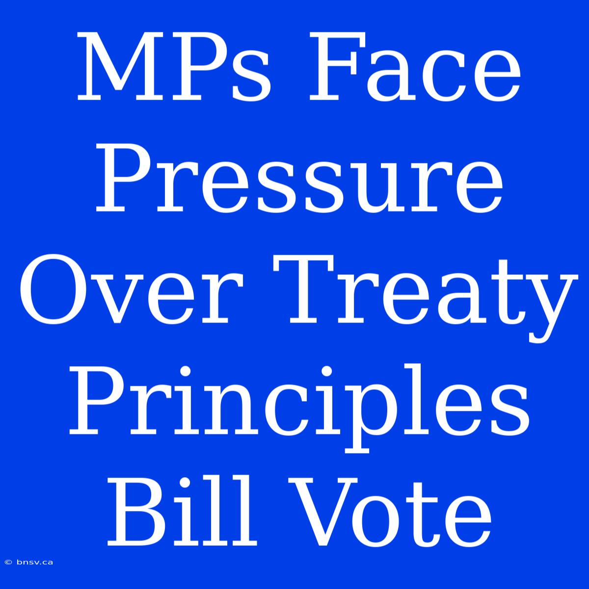 MPs Face Pressure Over Treaty Principles Bill Vote