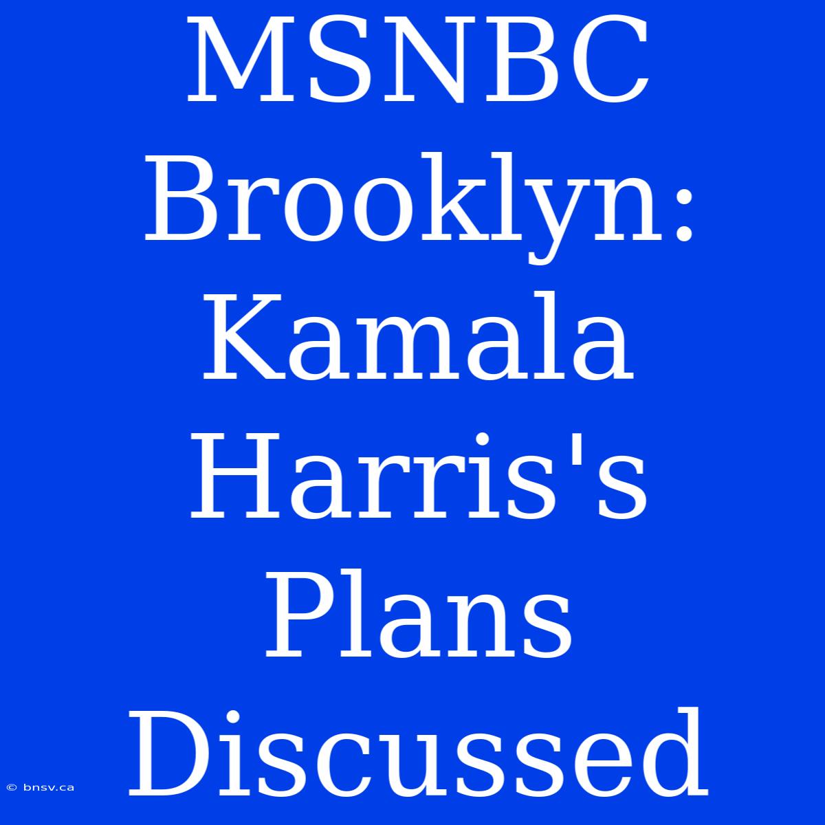 MSNBC Brooklyn: Kamala Harris's Plans Discussed