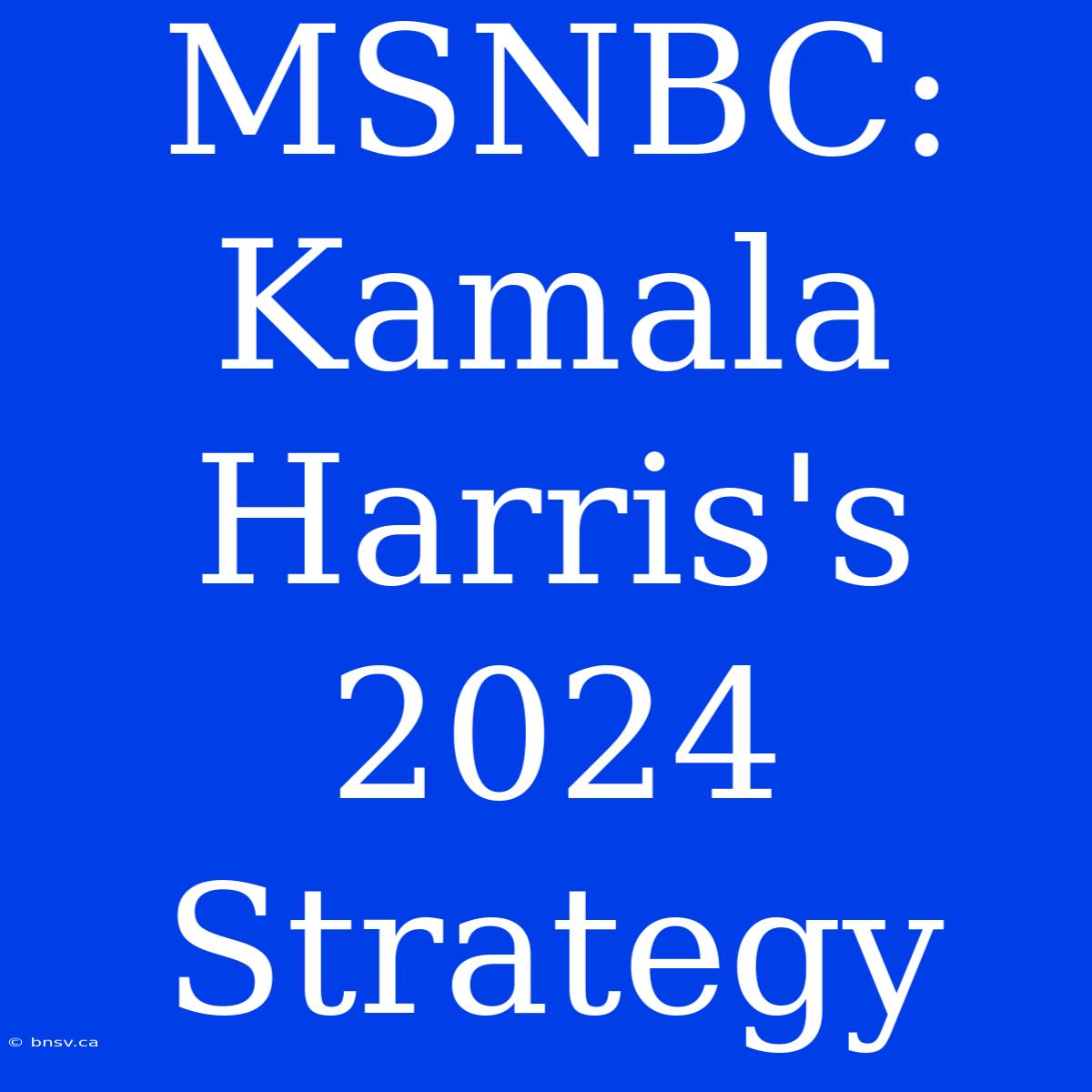 MSNBC: Kamala Harris's 2024 Strategy