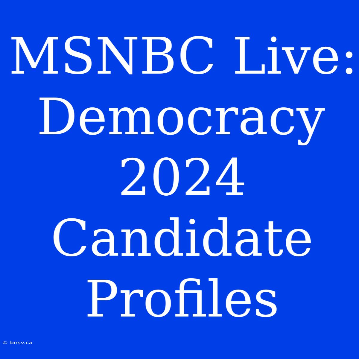 MSNBC Live: Democracy 2024 Candidate Profiles