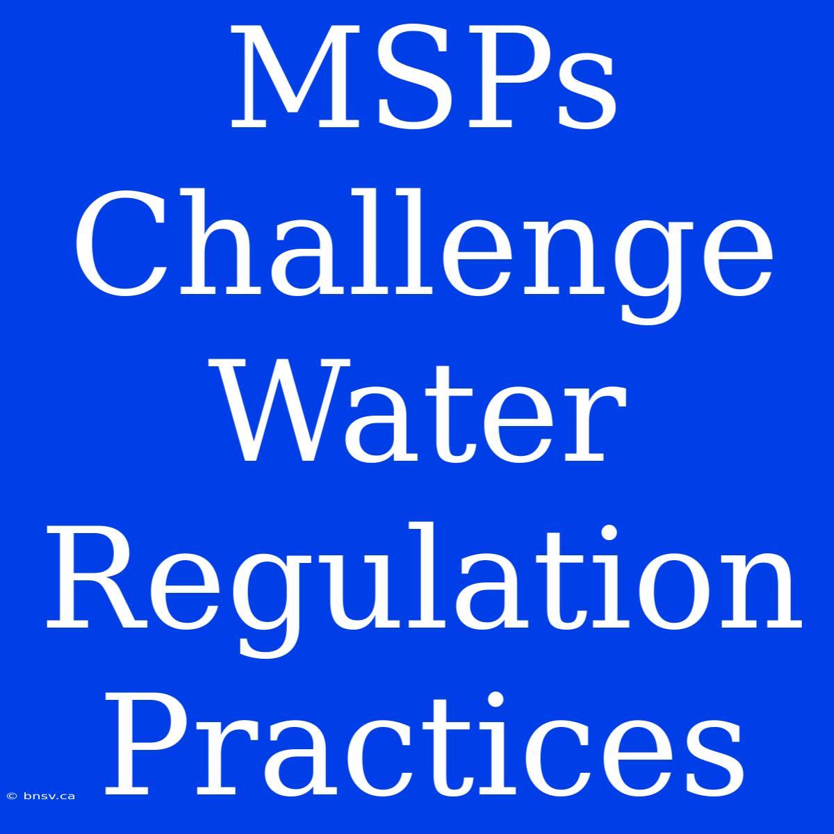 MSPs Challenge Water Regulation Practices