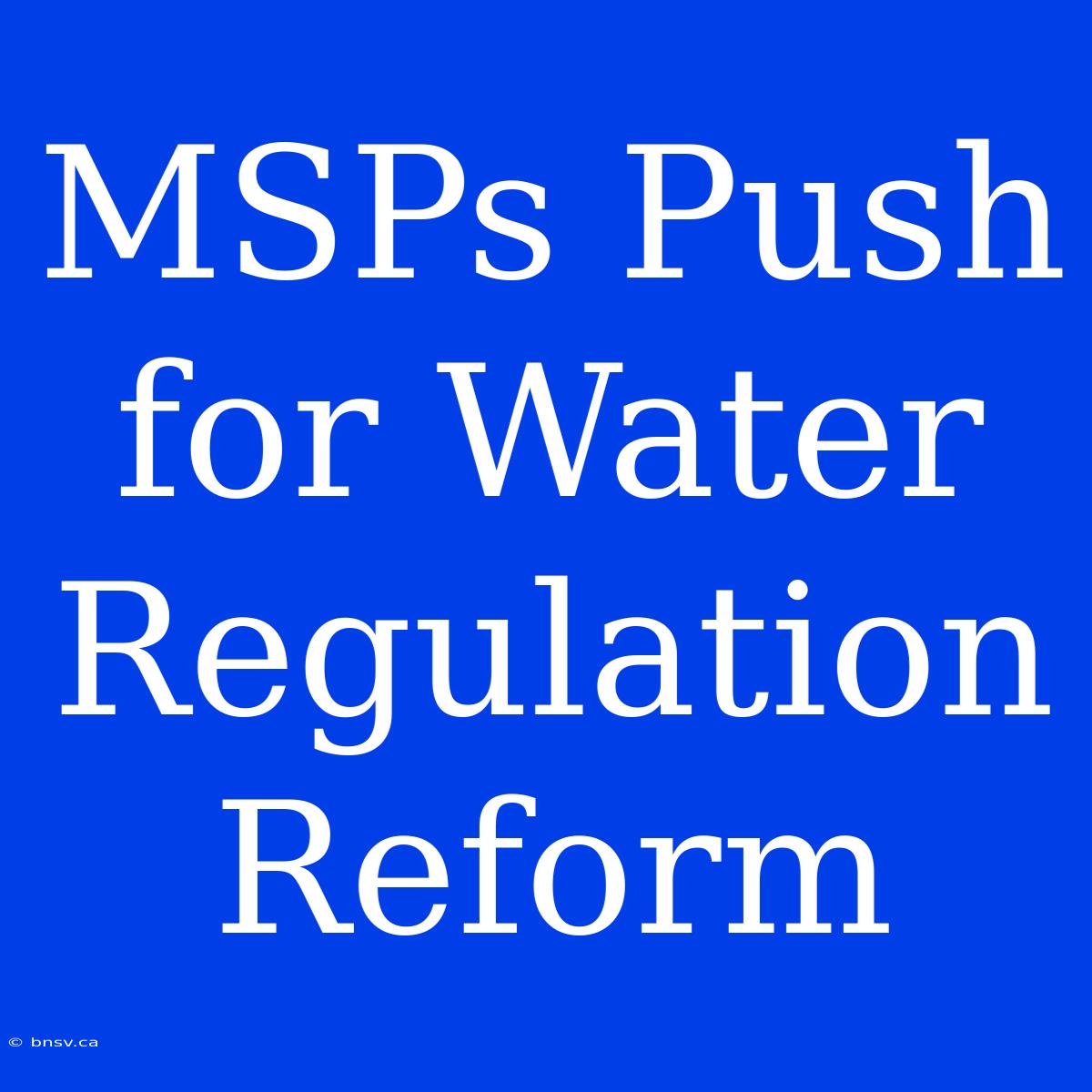 MSPs Push For Water Regulation Reform