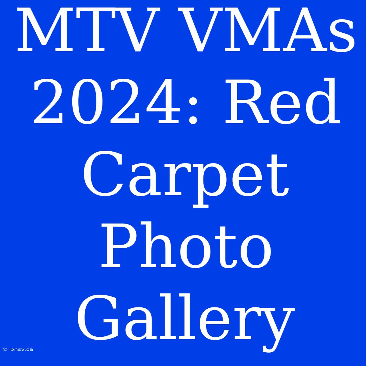 MTV VMAs 2024: Red Carpet Photo Gallery