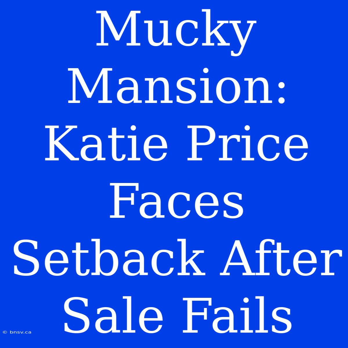 Mucky Mansion: Katie Price Faces Setback After Sale Fails