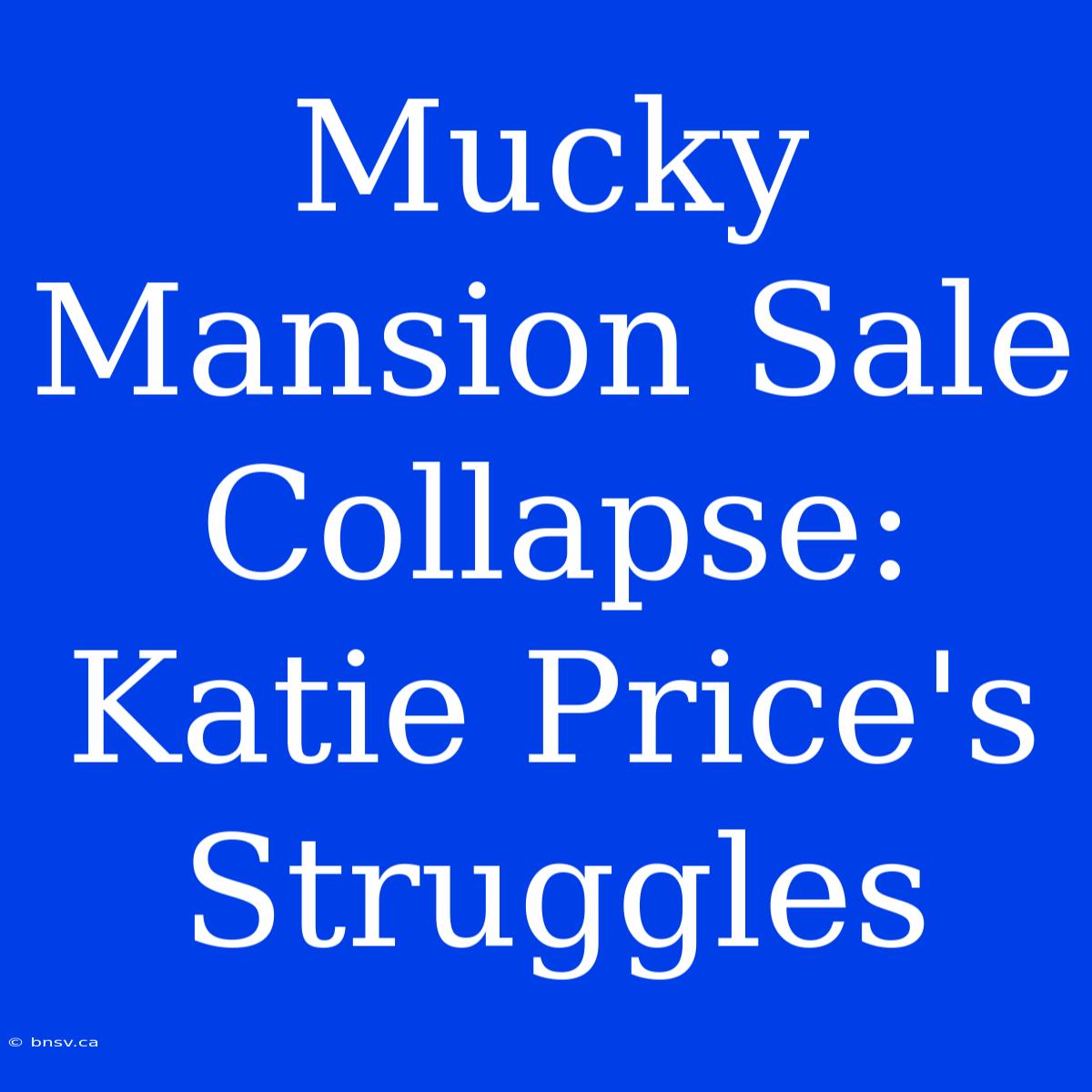 Mucky Mansion Sale Collapse: Katie Price's Struggles