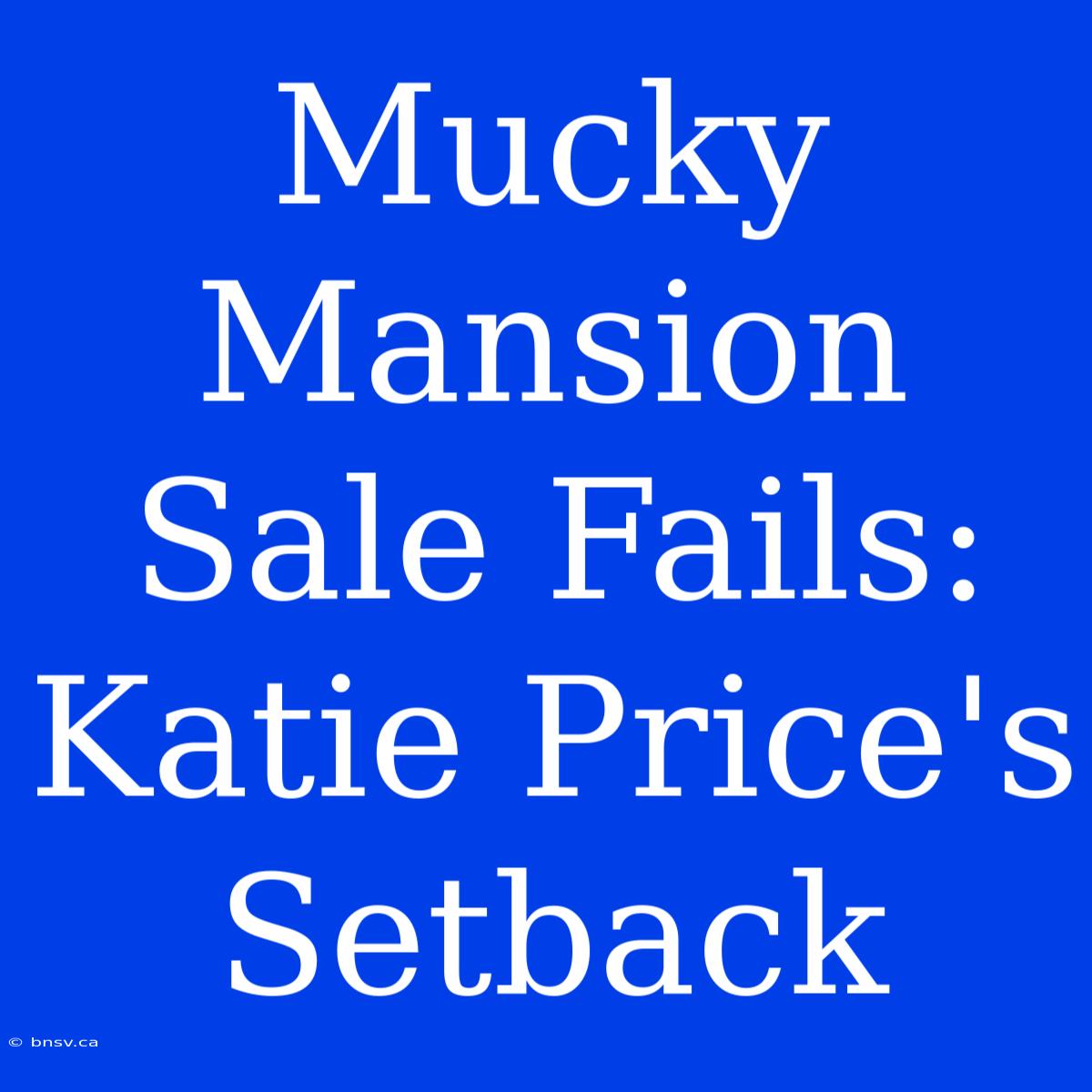 Mucky Mansion Sale Fails: Katie Price's Setback