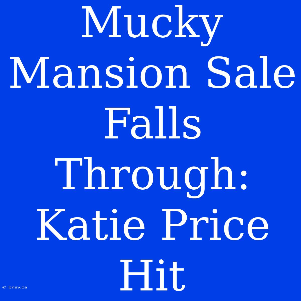 Mucky Mansion Sale Falls Through: Katie Price Hit