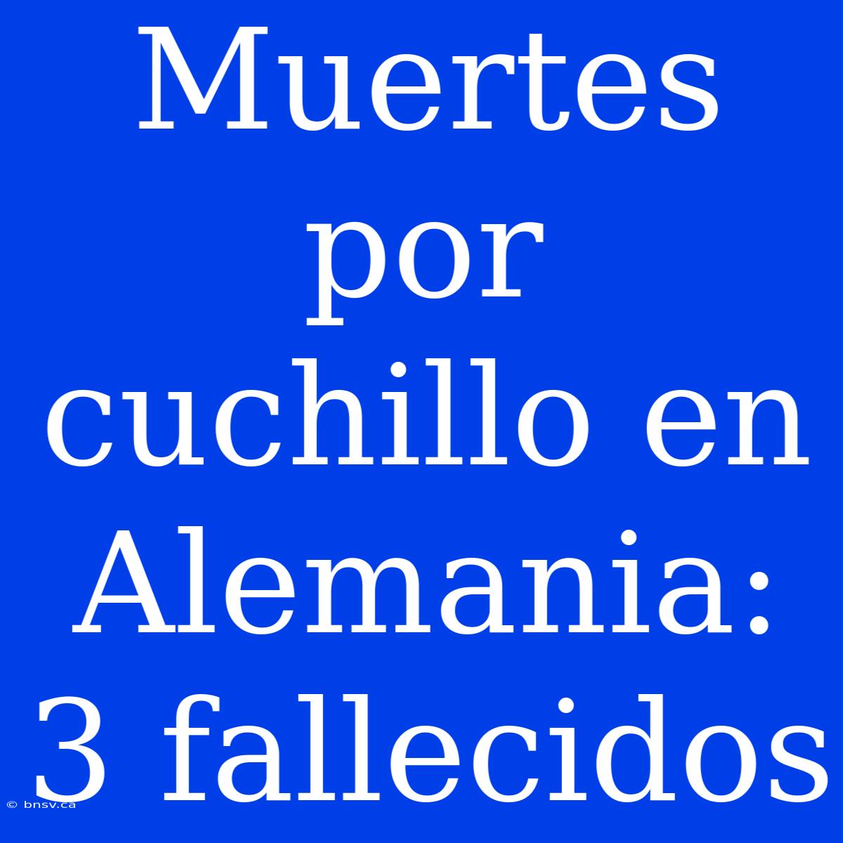 Muertes Por Cuchillo En Alemania: 3 Fallecidos