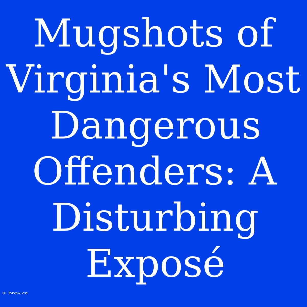 Mugshots Of Virginia's Most Dangerous Offenders: A Disturbing Exposé