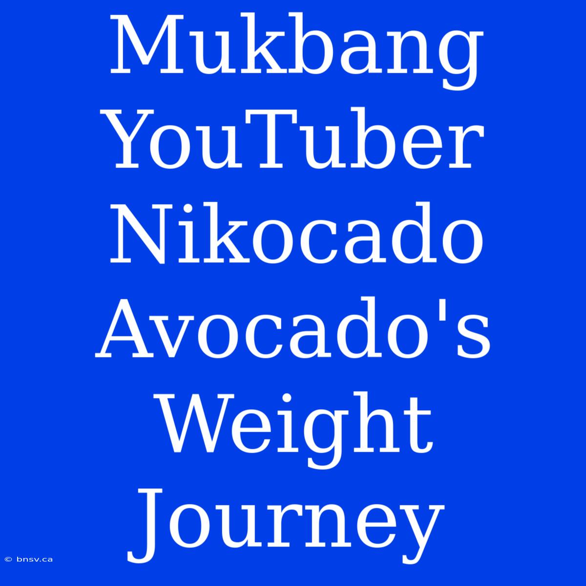 Mukbang YouTuber Nikocado Avocado's Weight Journey