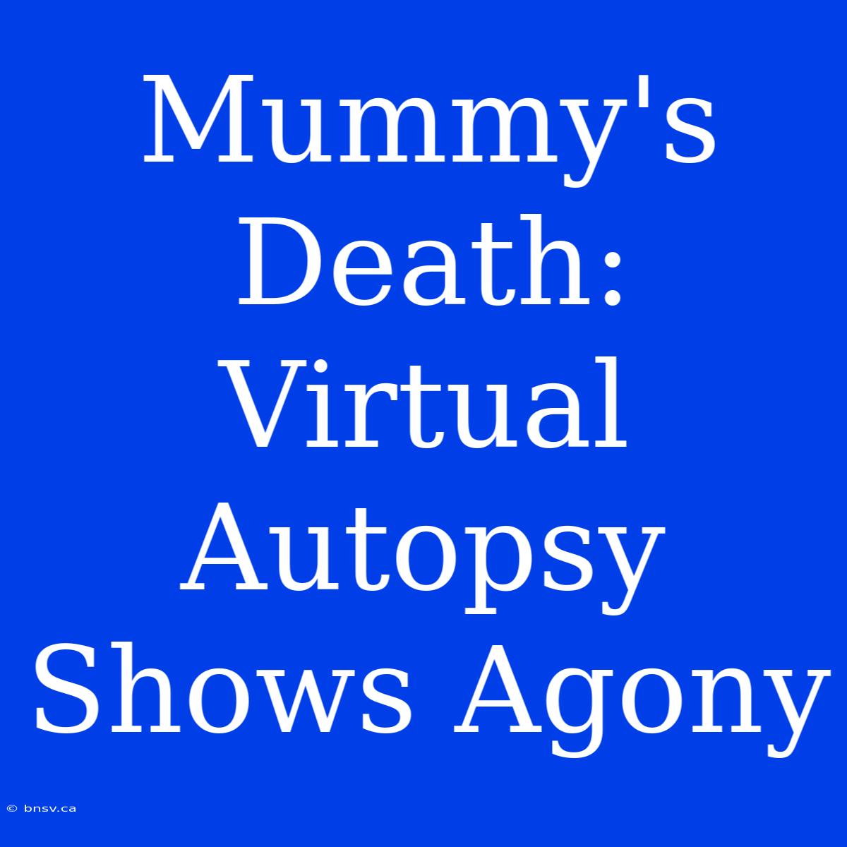 Mummy's Death: Virtual Autopsy Shows Agony