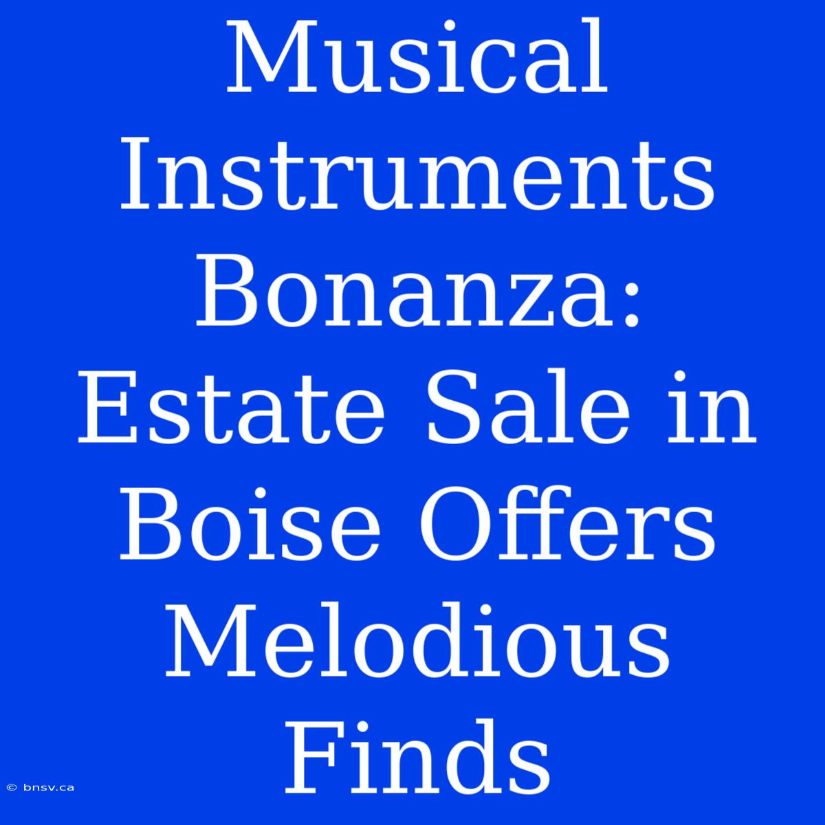 Musical Instruments Bonanza: Estate Sale In Boise Offers Melodious Finds