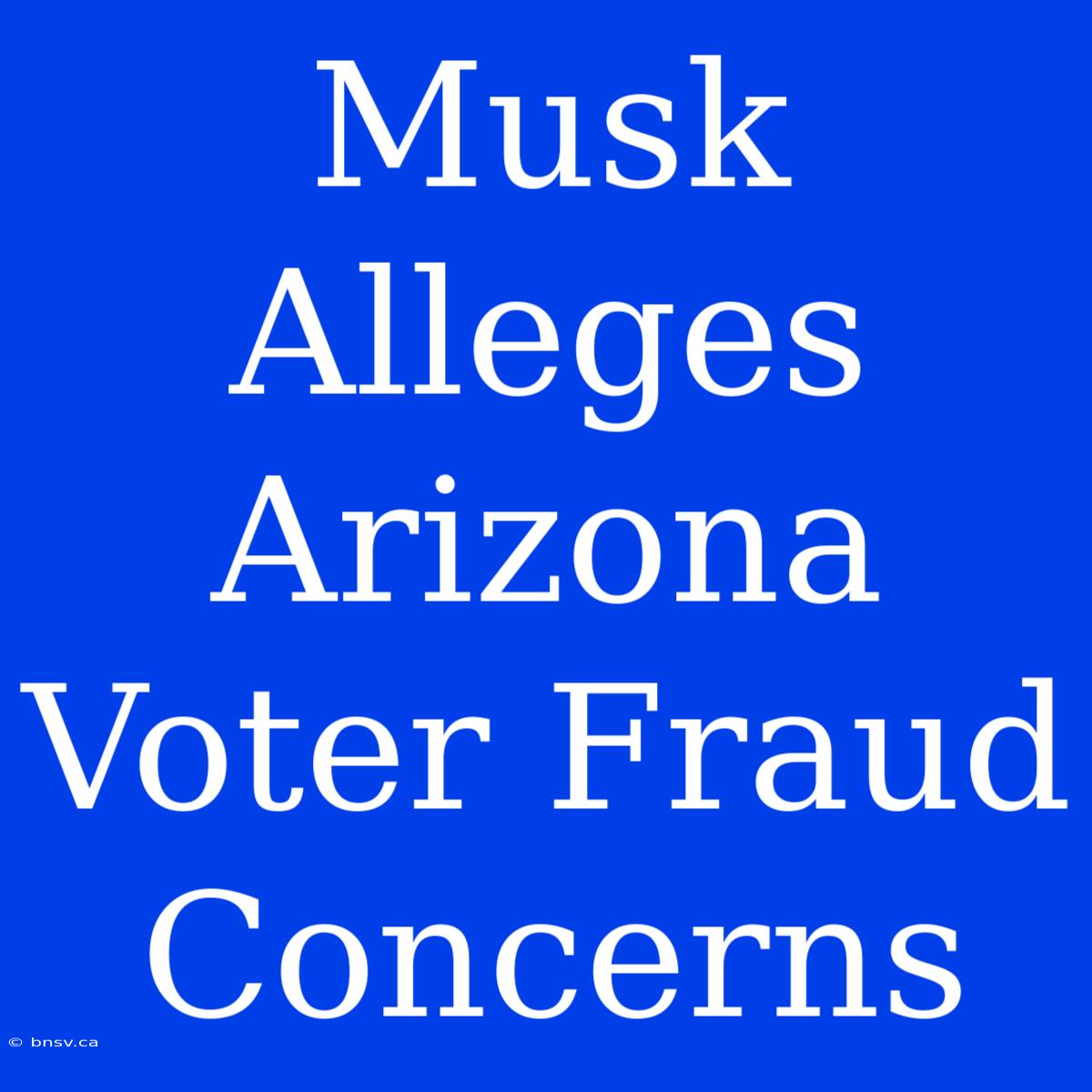 Musk Alleges Arizona Voter Fraud Concerns