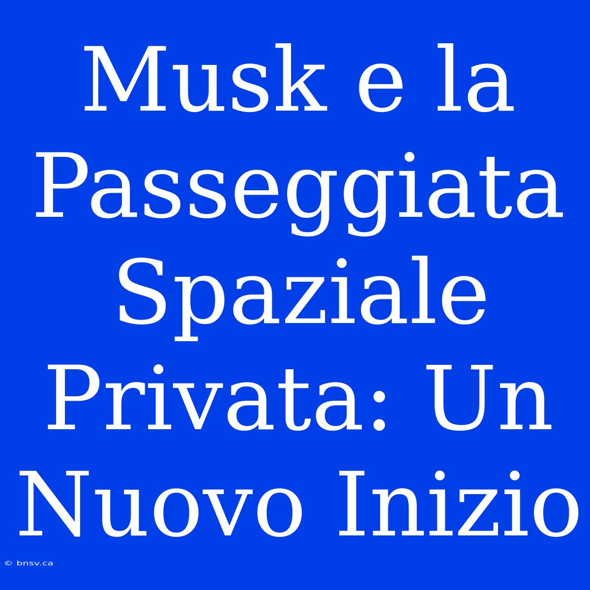 Musk E La Passeggiata Spaziale Privata: Un Nuovo Inizio